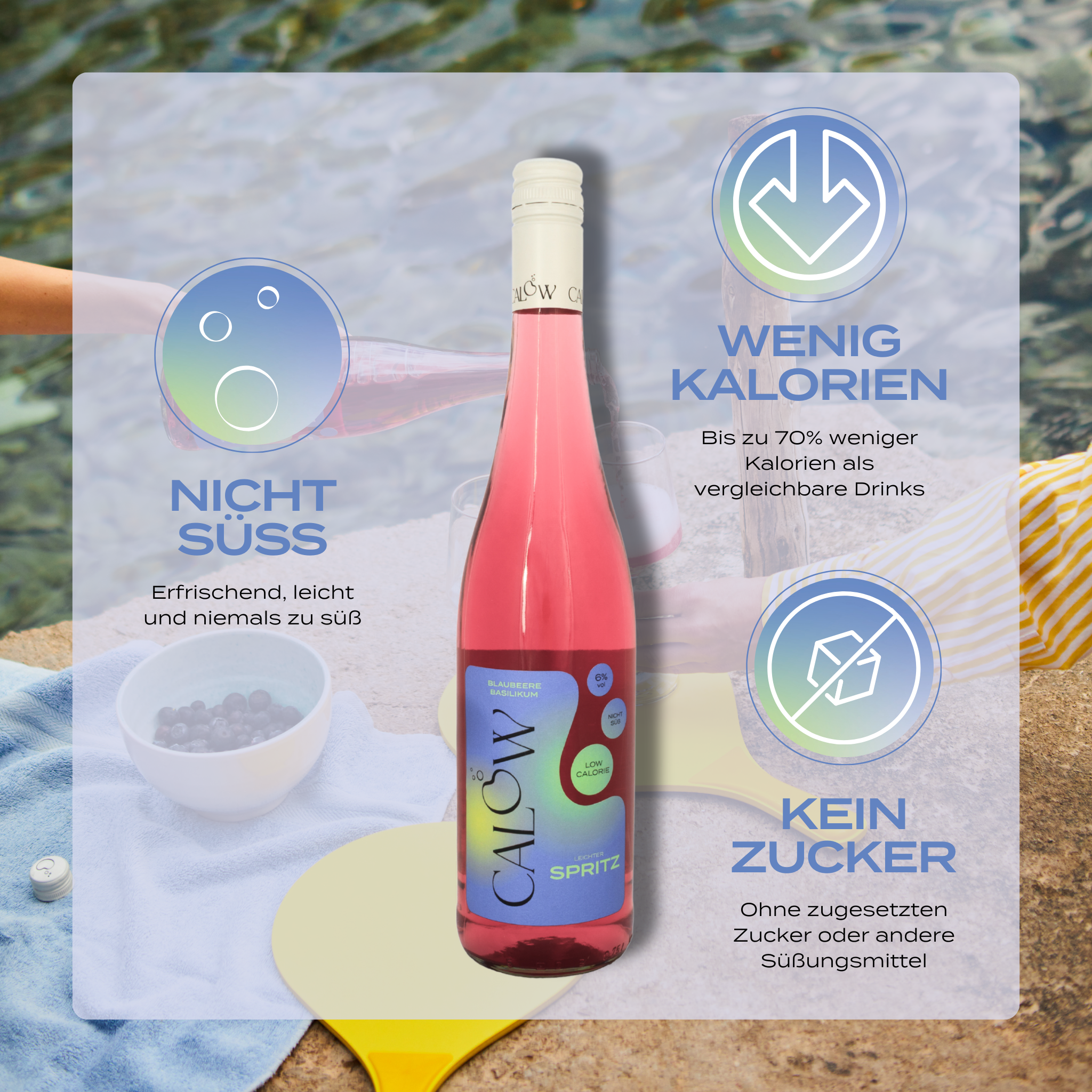 Probierpaket - alle vier Sorten entdecken