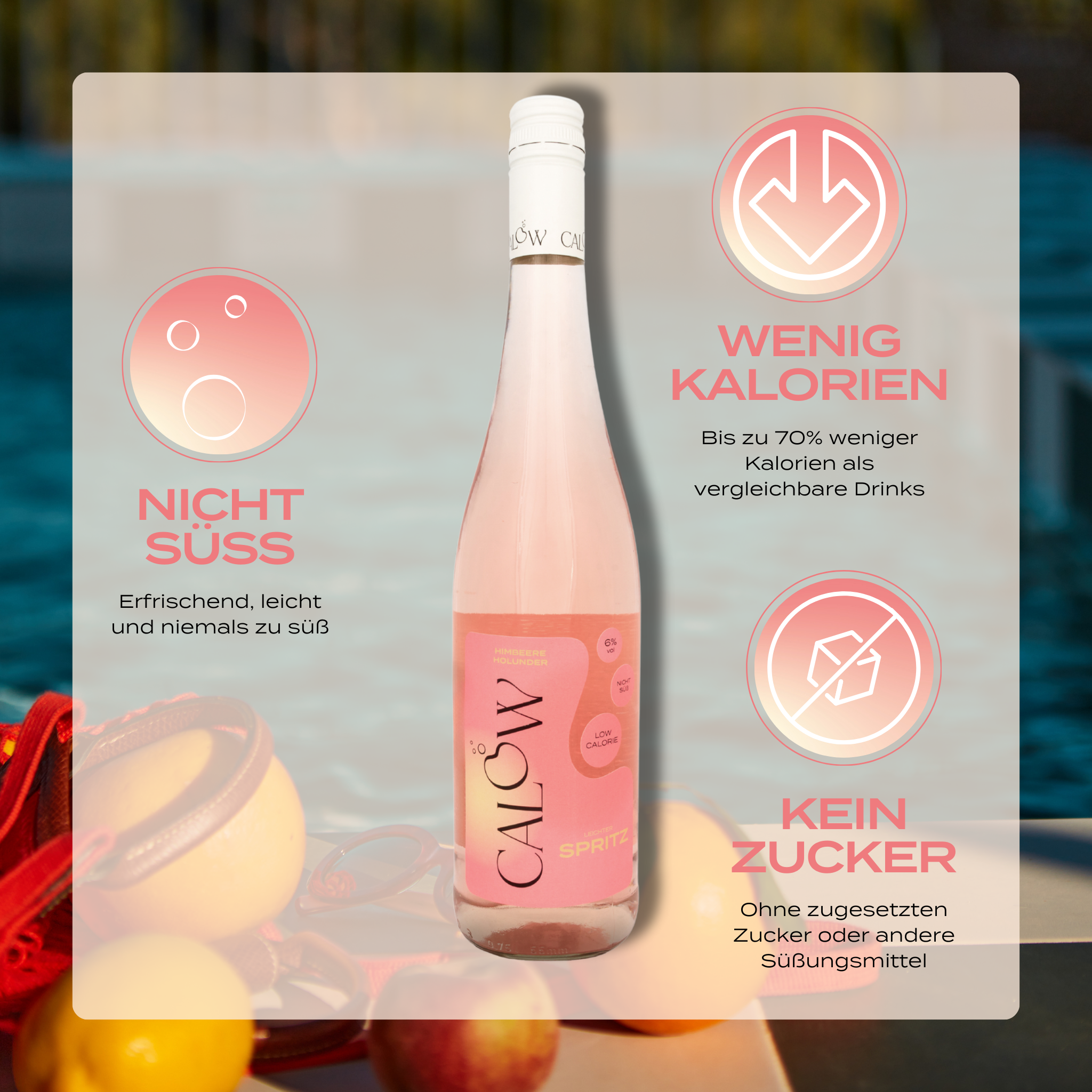 Probierpaket - alle vier Sorten entdecken