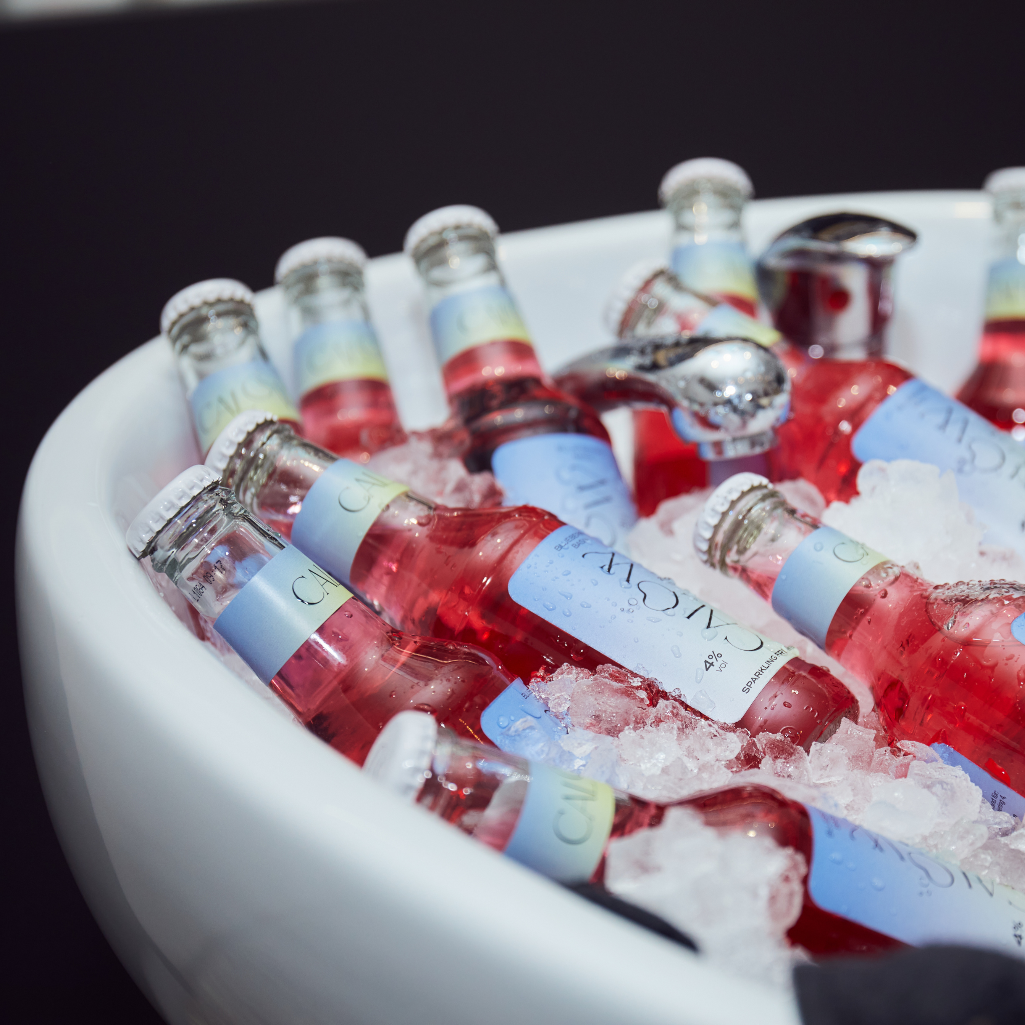 250ml Blaubeere-Basilikum