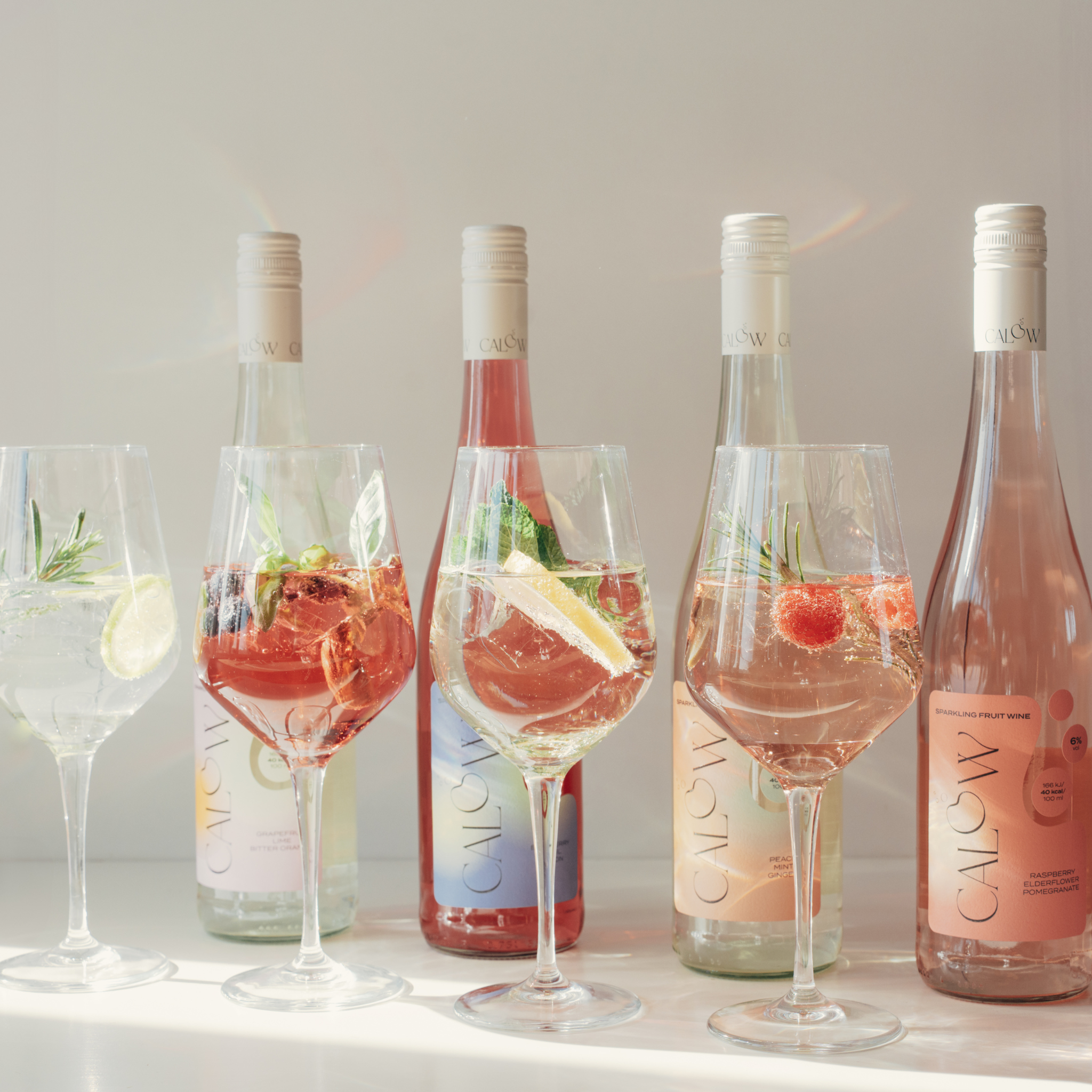 Probierpaket - alle vier Sorten entdecken