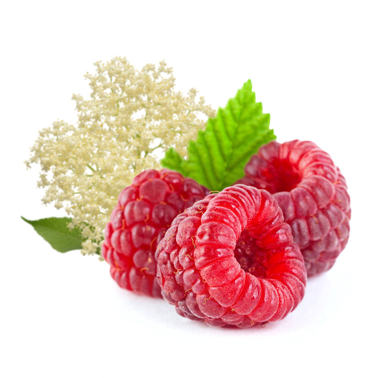Bild von Himbeeren und Holunder