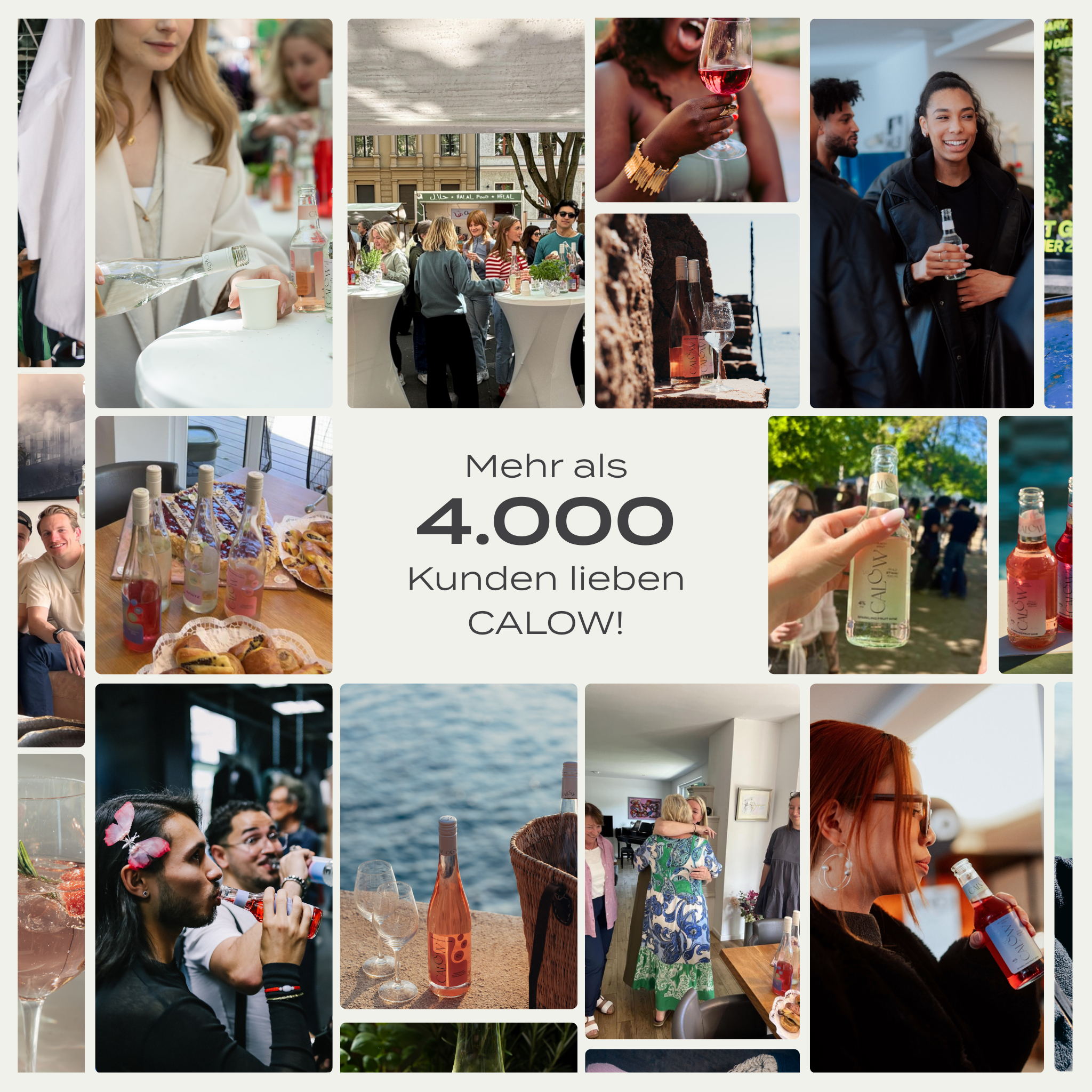 Probierpaket - alle vier Sorten entdecken